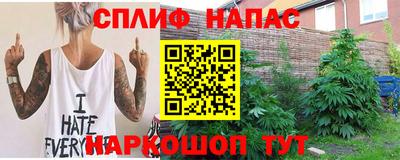 сатива Бузулук