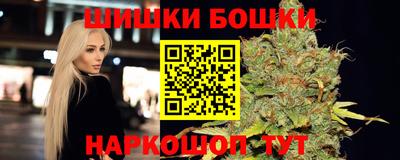 сатива Бузулук