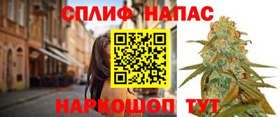 сатива Бузулук