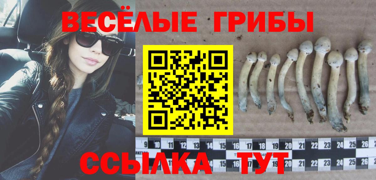 Похвистнево  Галлюциногенные грибы прущие грибы  продажа наркотиков  Вход с VPN 